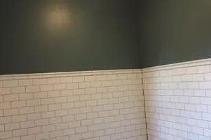 6847 S Indiana Ave, Chicago, IL 60637 - Photo 2