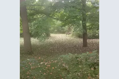 65 Lincolnshire Drive, Lincolnshire, IL 60069 - Photo 2