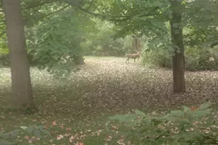 65 Lincolnshire Dr, Lincolnshire, IL 60069 - Photo 2