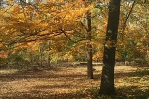 65 Lincolnshire Dr, Lincolnshire, IL 60069 - Photo 4