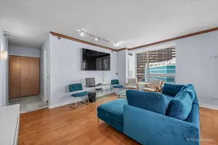 512 N McClurg Ct, Chicago, IL 60611 - Photo 6