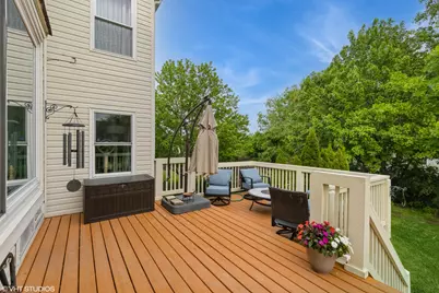 853 Savanna Springs Drive, Lake Villa, IL 60046 - Photo 10