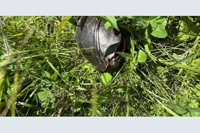 10502 Seaman Road, Hebron, IL 60034 - Photo 26