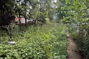 8417 S Escanaba Ave, Chicago, IL 60617 - Photo 4