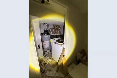 8417 S Escanaba Avenue, Chicago, IL 60617 - Photo 8