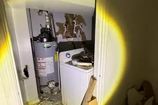 8417 S Escanaba Ave, Chicago, IL 60617 - Photo 8