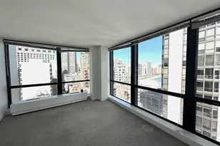 910 N Lake Shore Dr, Chicago, IL 60611 - Photo 12