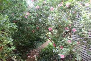 1450 S Stewart Ave, Lombard, IL 60148 - Photo 46