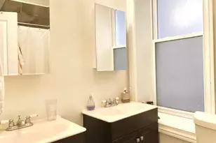 1820 S Throop St, Chicago, IL 60608 - Photo 12