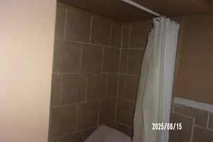 427 E Oak St, Watseka, IL 60970 - Photo 16