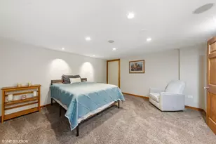 11711 Juanita Dr, Orland Park, IL 60467 - Photo 28