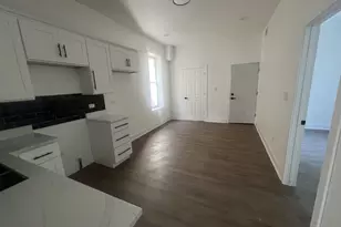 5310 S Wolcott Ave, Chicago, IL 60609 - Photo 8