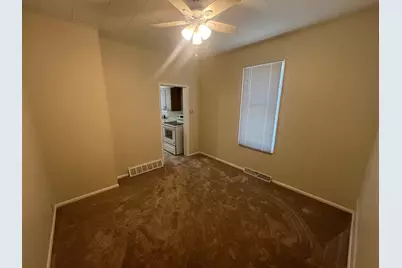 503 Main Street, Dalzell, IL 61320 - Photo 4