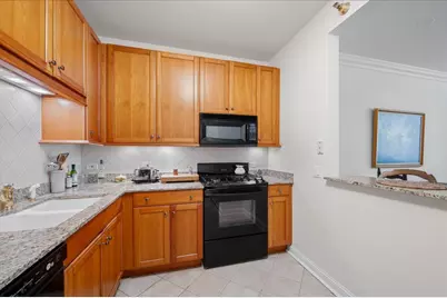 25 E Superior Street #605, Chicago, IL 60611 - Photo 6