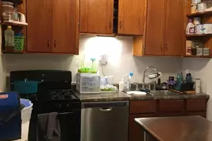 5015 N Damen Ave, Chicago, IL 60625 - Photo 26