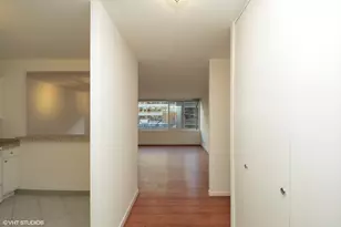 211 E Ohio St, Chicago, IL 60611 - Photo 6