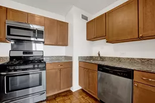 1150 N Lake Shore Dr, Chicago, IL 60611 - Photo 8