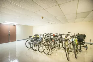 4224 Saratoga Ave, Downers Grove, IL 60515 - Photo 16