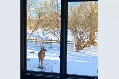 764 Boal Parkway, Winnetka, IL 60093 - Photo 26