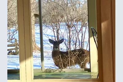 764 Boal Parkway, Winnetka, IL 60093 - Photo 28