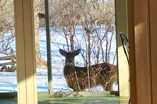 764 Boal Pkwy, Winnetka, IL 60093 - Photo 28