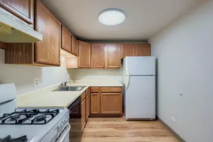 1463 Mercury Dr, Schaumburg, IL 60193 - Photo 4