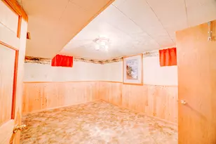 204 Kellerhal Dr, Cissna Park, IL 60924 - Photo 40