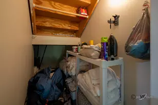 106 Walnut Hill Dr, Galena, IL 61036 - Photo 12