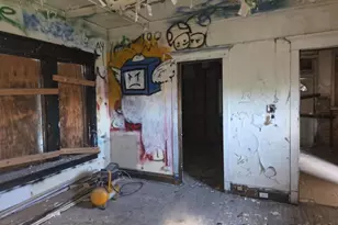 7345 S Princeton Ave, Chicago, IL 60621 - Photo 4