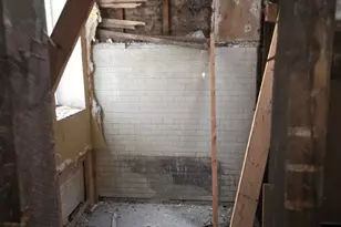 7345 S Princeton Ave, Chicago, IL 60621 - Photo 10