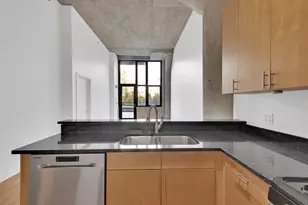 320 E 21st St, Chicago, IL 60616 - Photo 10