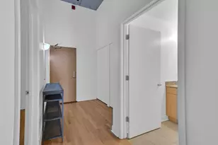 320 E 21st St, Chicago, IL 60616 - Photo 28