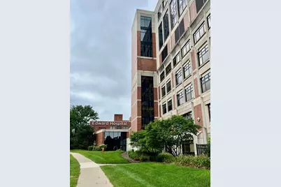 241 W Van Buren Avenue, Naperville, IL 60540 - Photo 34