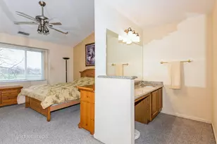 226 Sierra Pass Dr, Schaumburg, IL 60194 - Photo 18