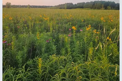 1340 E 2700 North Road, Ashkum, IL 60911 - Photo 78