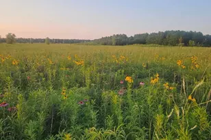 1340 E 2700 North Rd, Ashkum, IL 60911 - Photo 78