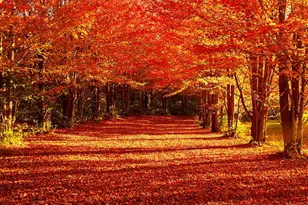 1340 E 2700 North Rd, Ashkum, IL 60911 - Photo 80