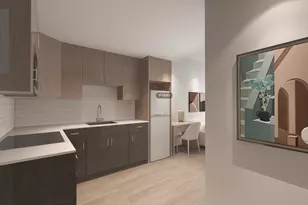 2128 S Tan Ct, Chicago, IL 60616 - Photo 6