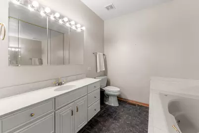16082 Julia Courtyard, Tinley Park, IL 60477 - Photo 18