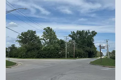 Lot 1 Beckwith Lane, Crete, IL 60417 - Photo 1