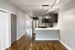 1015 N Lawndale Ave, Chicago, IL 60651 - Photo 4