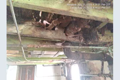 2654 W 98th Place, Evergreen Park, IL 60805 - Photo 24