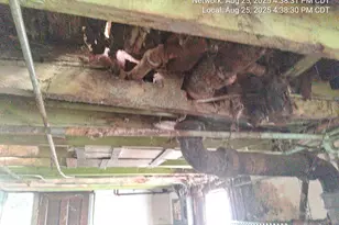 2654 W 98th Pl, Evergreen Park, IL 60805 - Photo 24