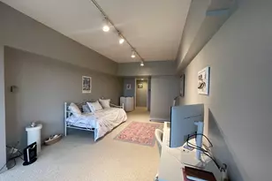 175 E Delaware Pl, Chicago, IL 60611 - Photo 20