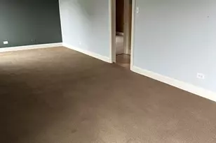 15817 Orlan Brook Dr, Orland Park, IL 60462 - Photo 16