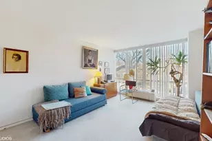 601 E 32nd St, Chicago, IL 60616 - Photo 18