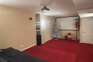 13035 Grande Pines Blvd, Plainfield, IL 60585 - Photo 50