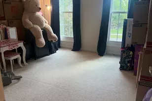 13035 Grande Pines Blvd, Plainfield, IL 60585 - Photo 42