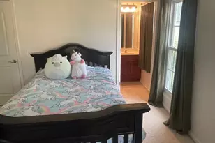 13035 Grande Pines Blvd, Plainfield, IL 60585 - Photo 40