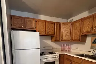 3021 S Michigan Ave, Chicago, IL 60616 - Photo 10